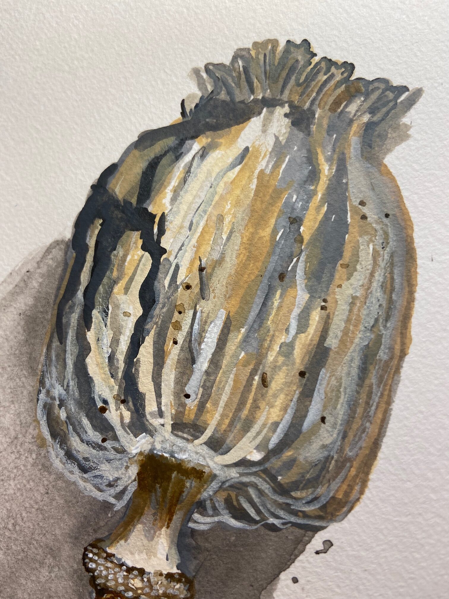 Painted poppy seed head by Betty Adamou