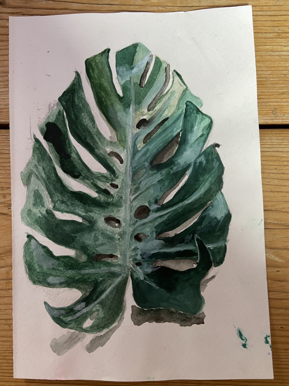 Monstera by Betty Adamou