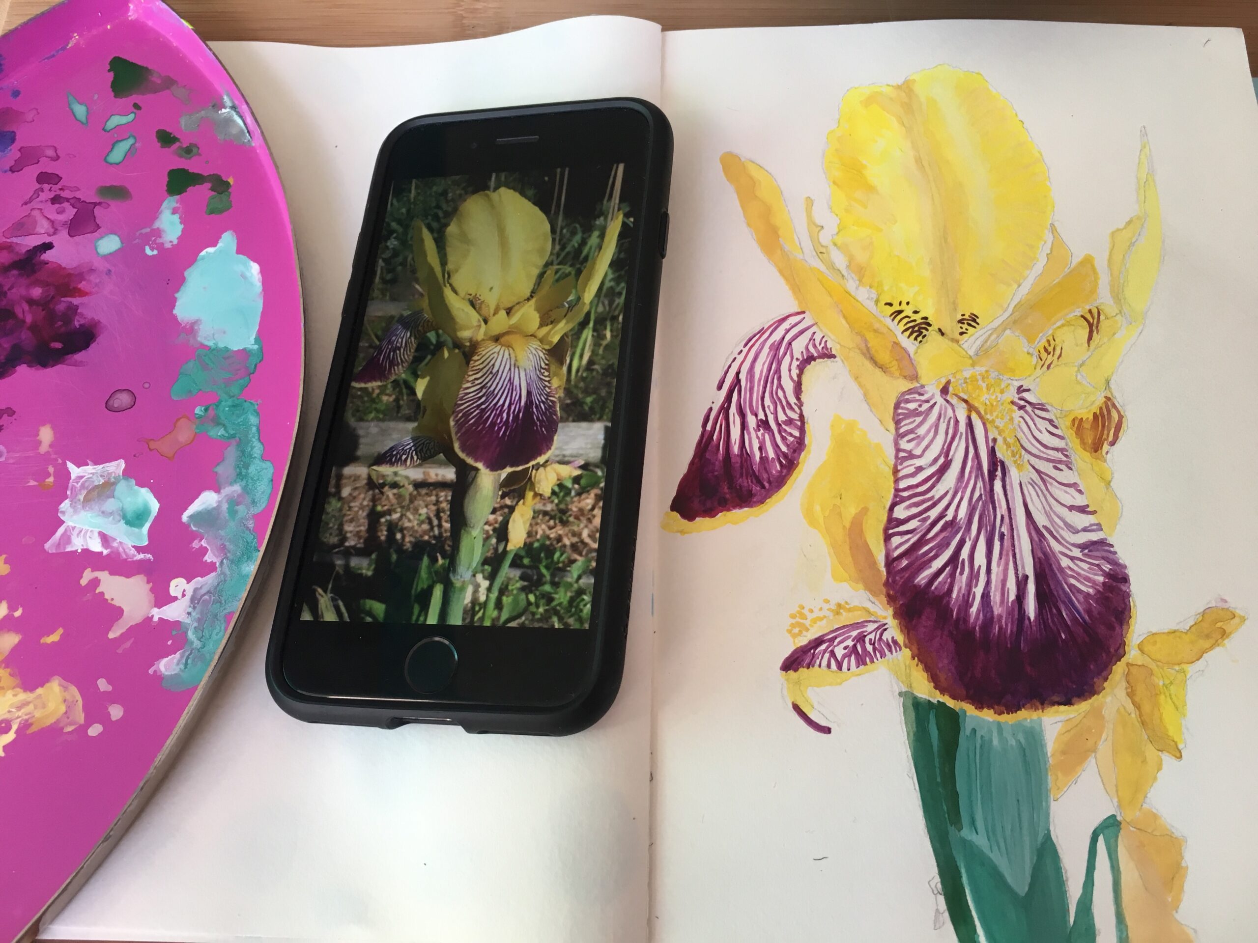Gill's Iris, painting in progress by Betty Adamou