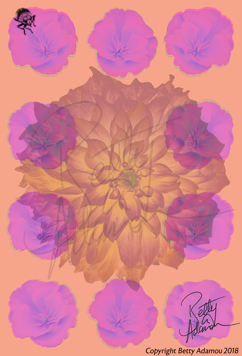 The Walled Garden Ickworth: X-ray by Betty Adamou