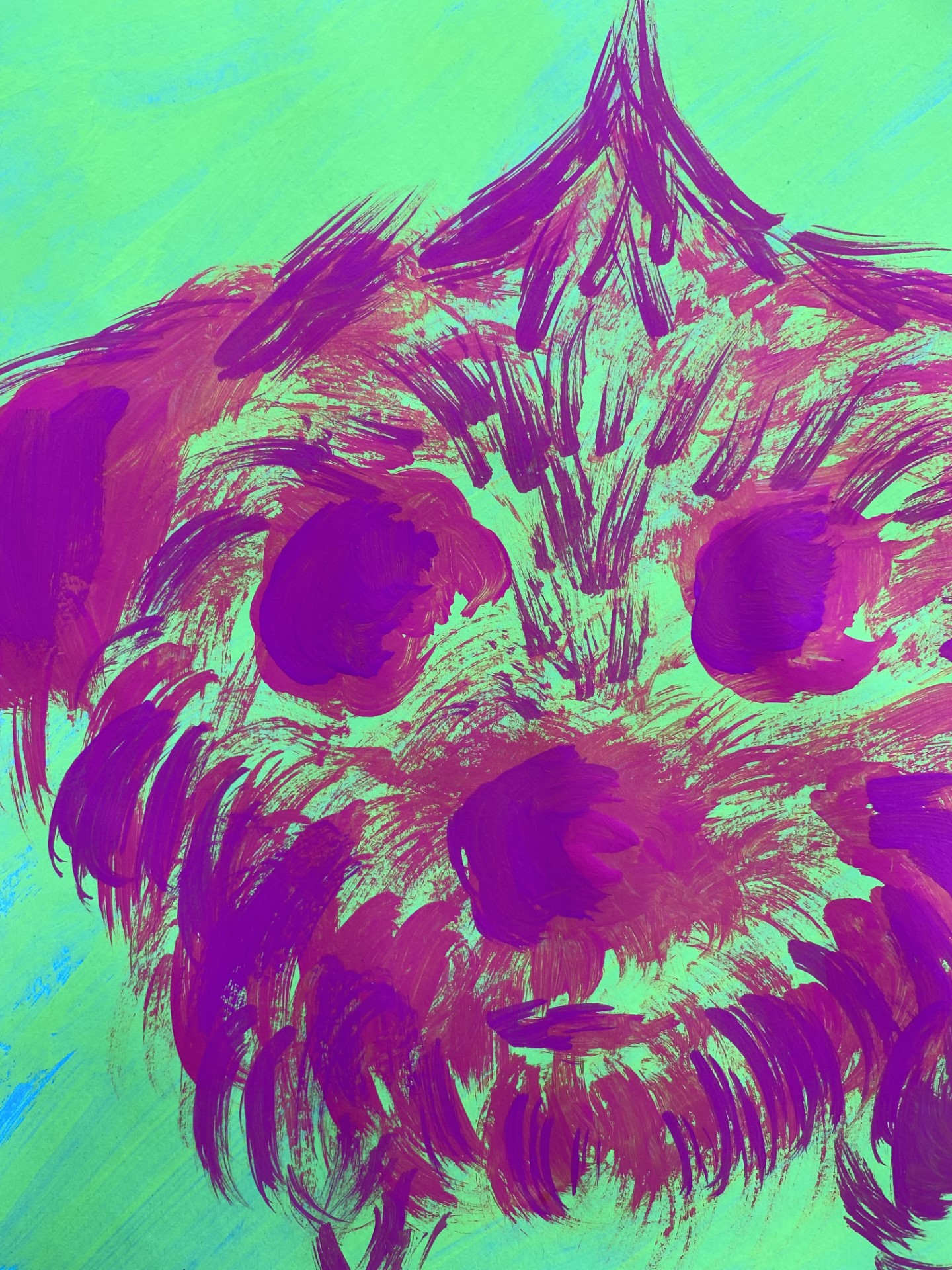 Xyla in neon lilac and pink